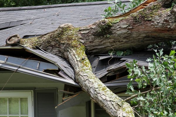 Storm Remediation in Fort Worth