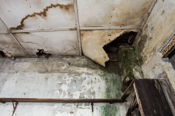 Water Damage Service in Fort Worth