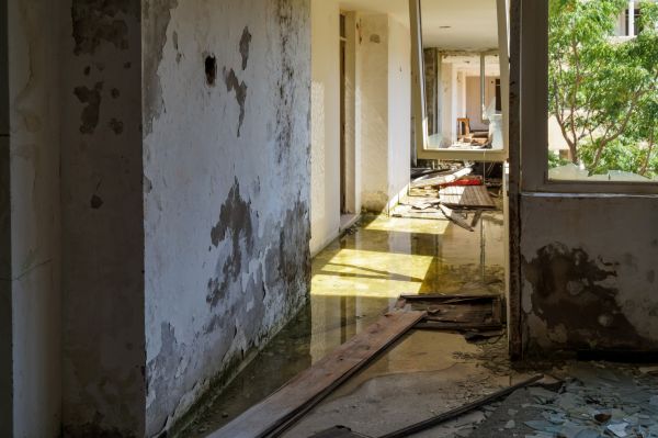 Water Removal Service in Fort Worth
