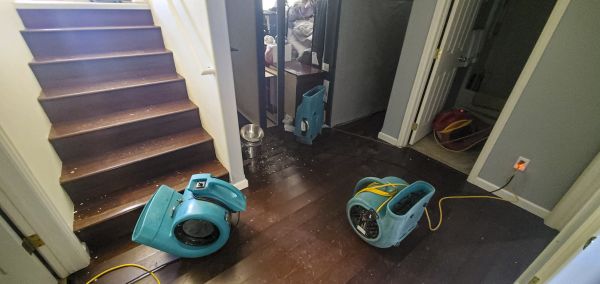 Water Damage Remediation in Fort Worth