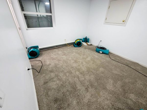 Flood Restoration Service in Fort Worth