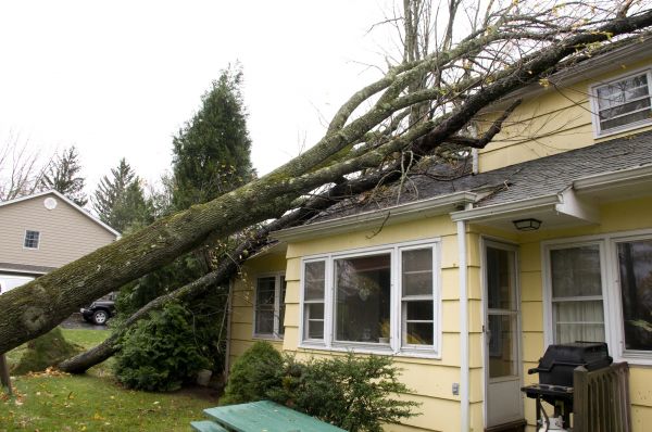 Hurricane Damage Repair in Fort Worth